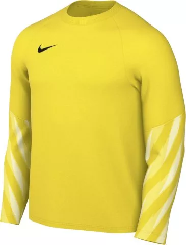 Dri-FIT Park V Long Sleeve Goalkeeper