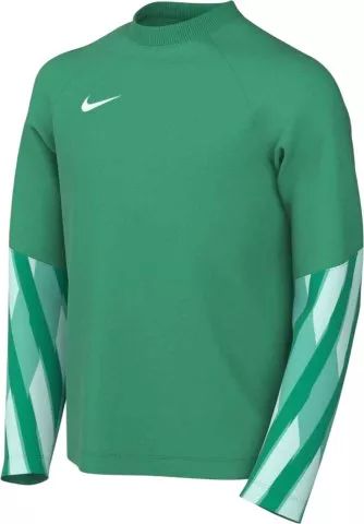 Dri-FIT Park V Long Sleeve Goalkeeper Kids
