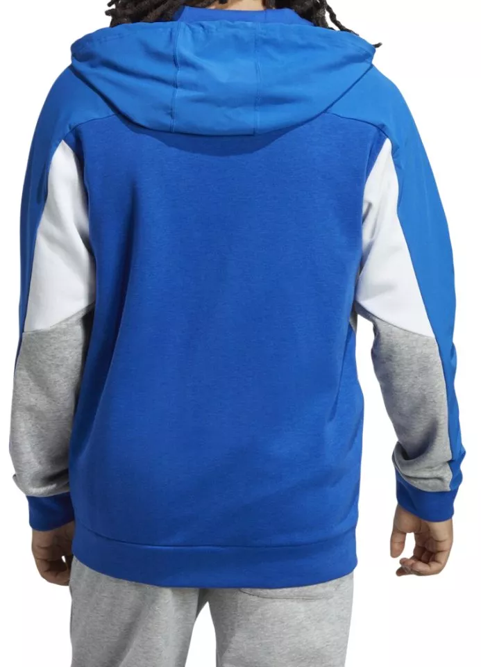 Pánská sportovní mikina s kapucí adidas Essentials Colorblock