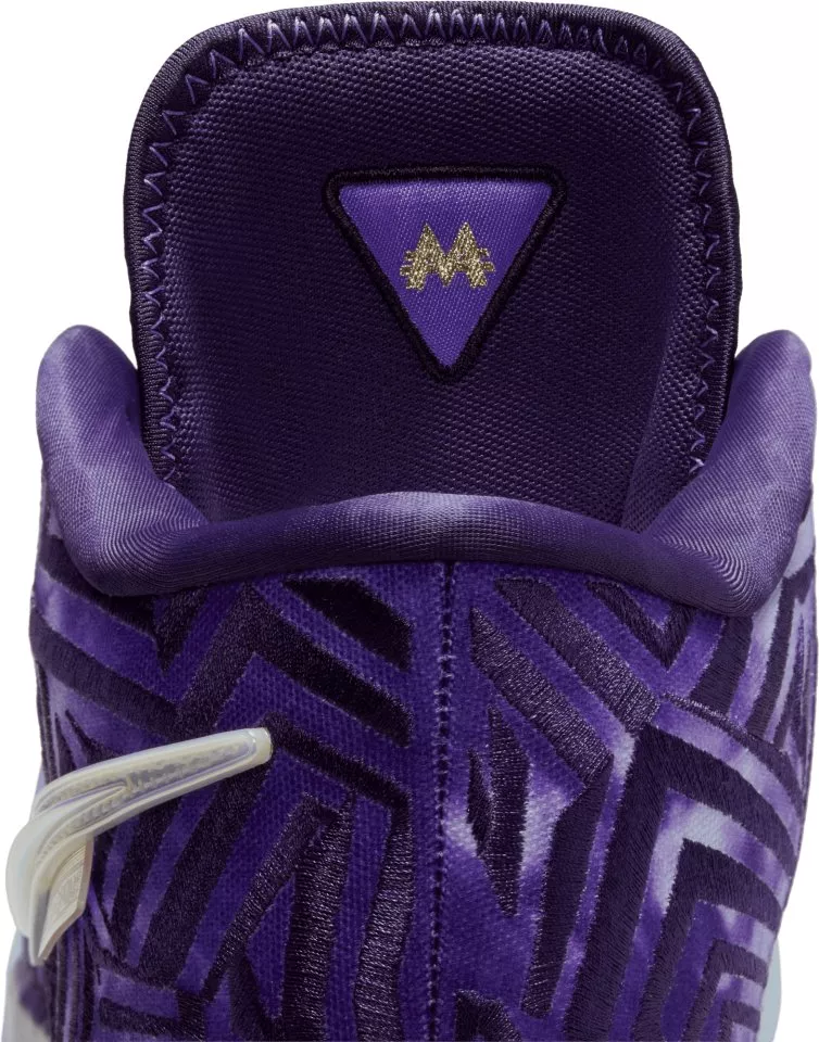 Pánská basketbalová obuv Nike LeBron NXXT Genisus QS