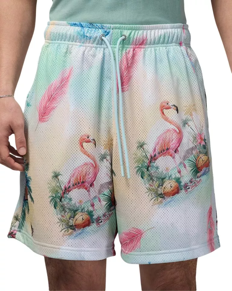 Σορτς Jordan Essentials Printed Mesh Short