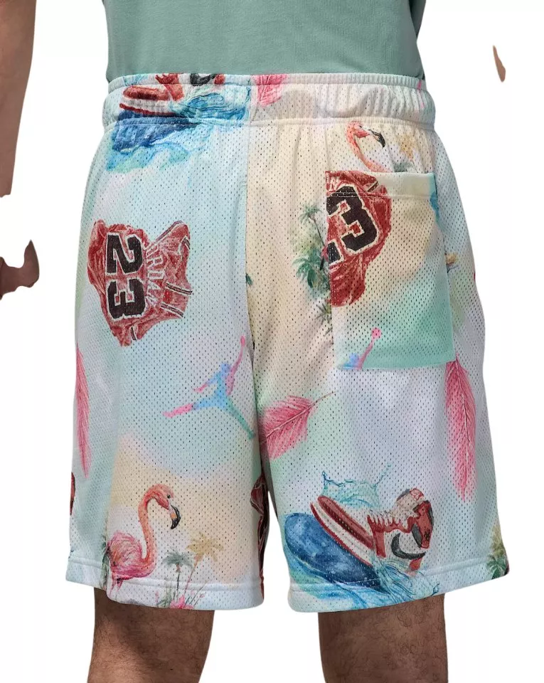 Σορτς Jordan Essentials Printed Mesh Short