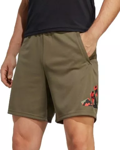 Seasonal Training shorts