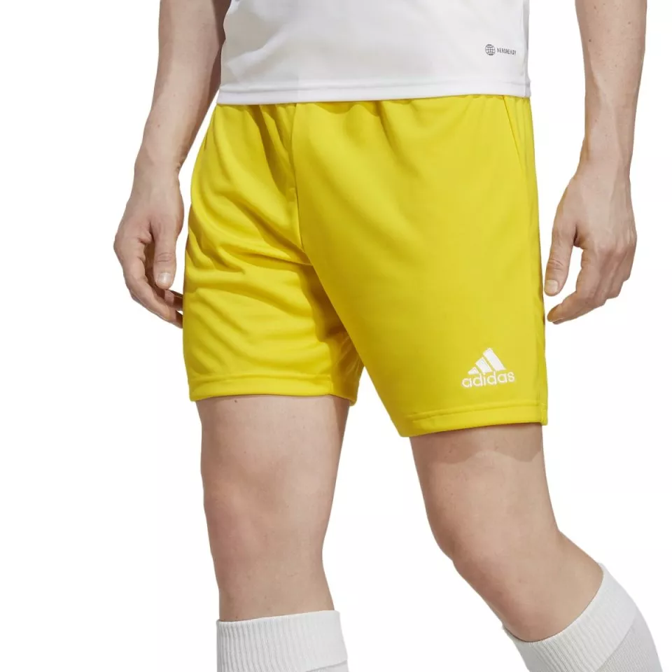 Calções adidas ENT22 SHO