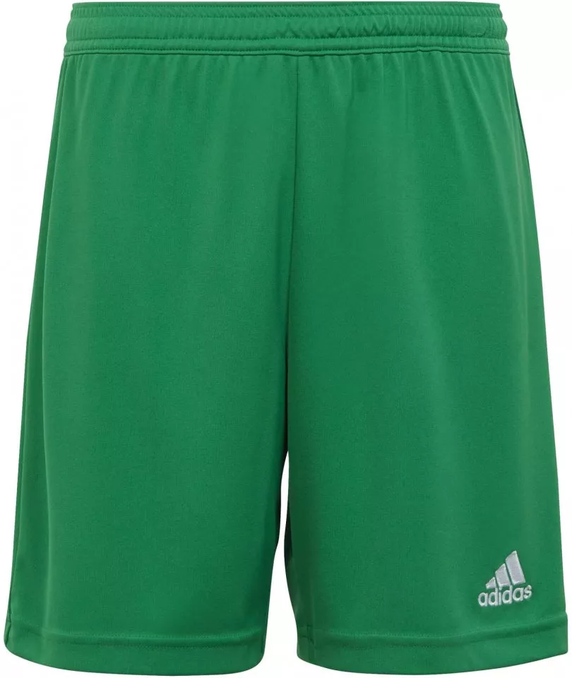 Shorts adidas ENT22 SHO Y