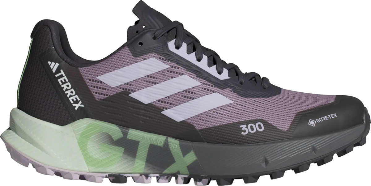 Chaussures de trail adidas TERREX AGRAVIC FLOW 2 GTX W