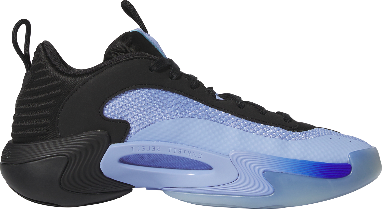 Zapatillas adidas Exhibit Select 2.0 shoes