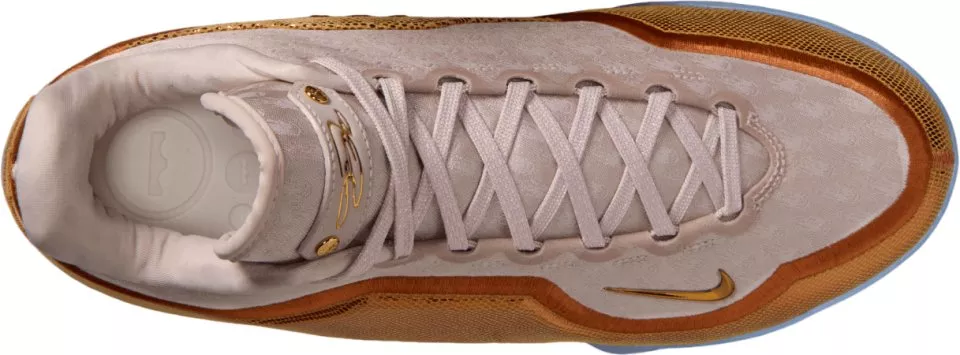 Pánská basketbalová obuv Nike LeBron XXII