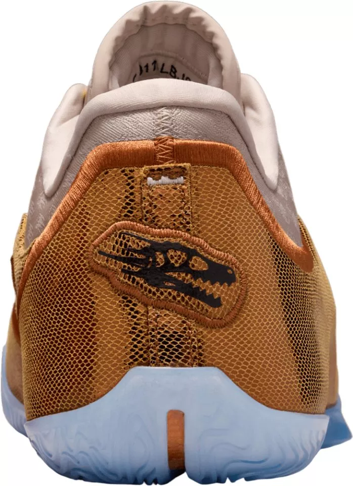 Pánská basketbalová obuv Nike LeBron XXII