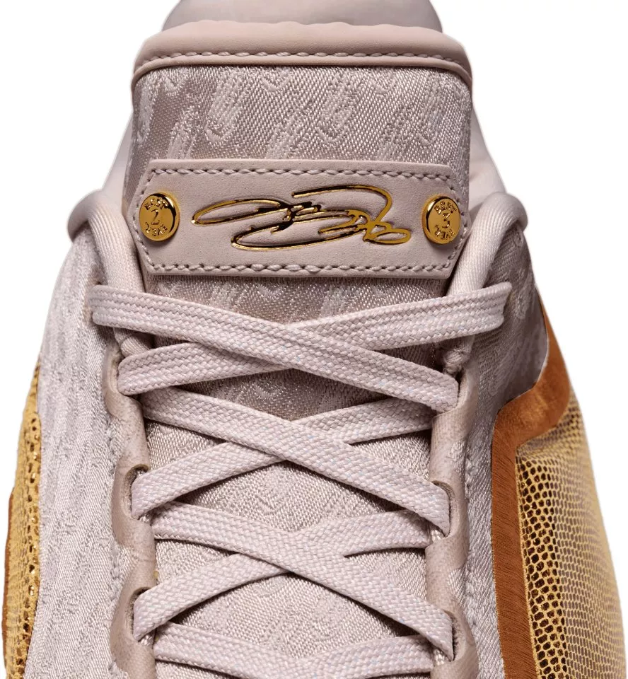 Pánská basketbalová obuv Nike LeBron XXII