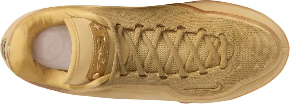 Pánská basketbalová obuv Nike LeBron XXII