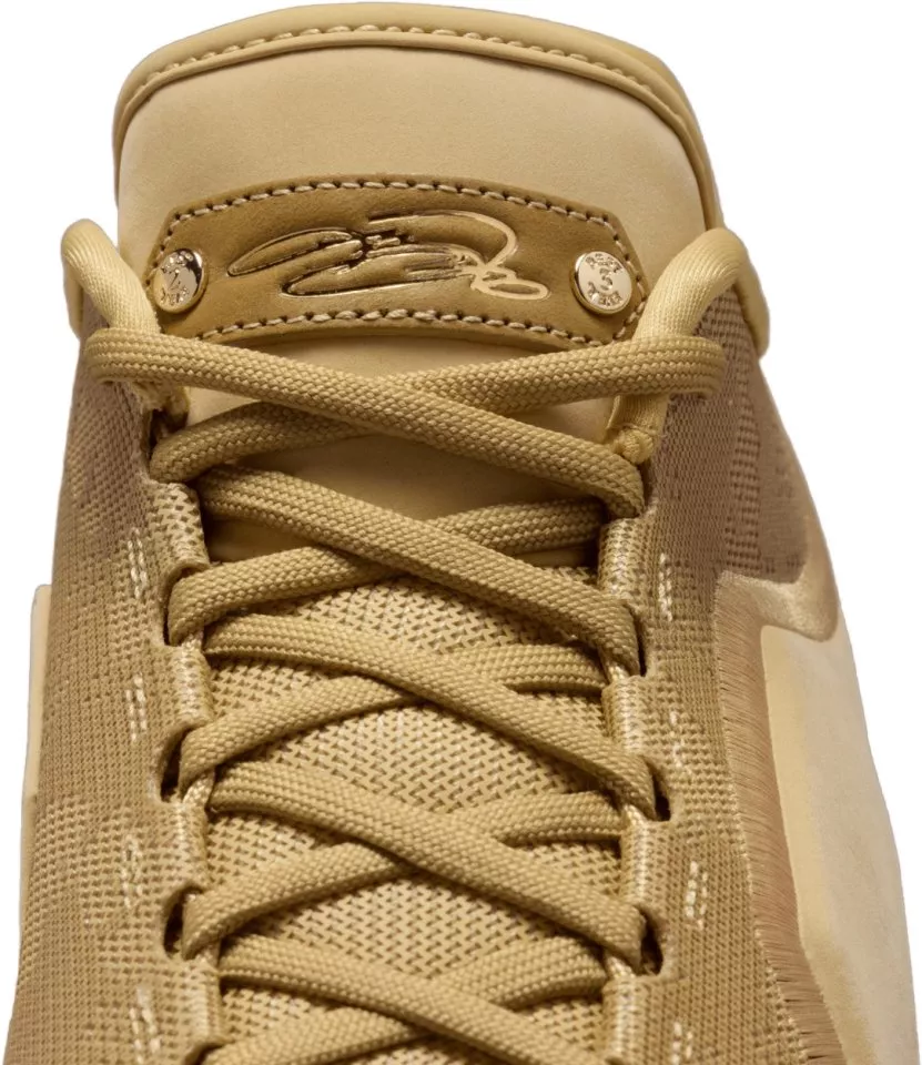 Pánská basketbalová obuv Nike LeBron XXII