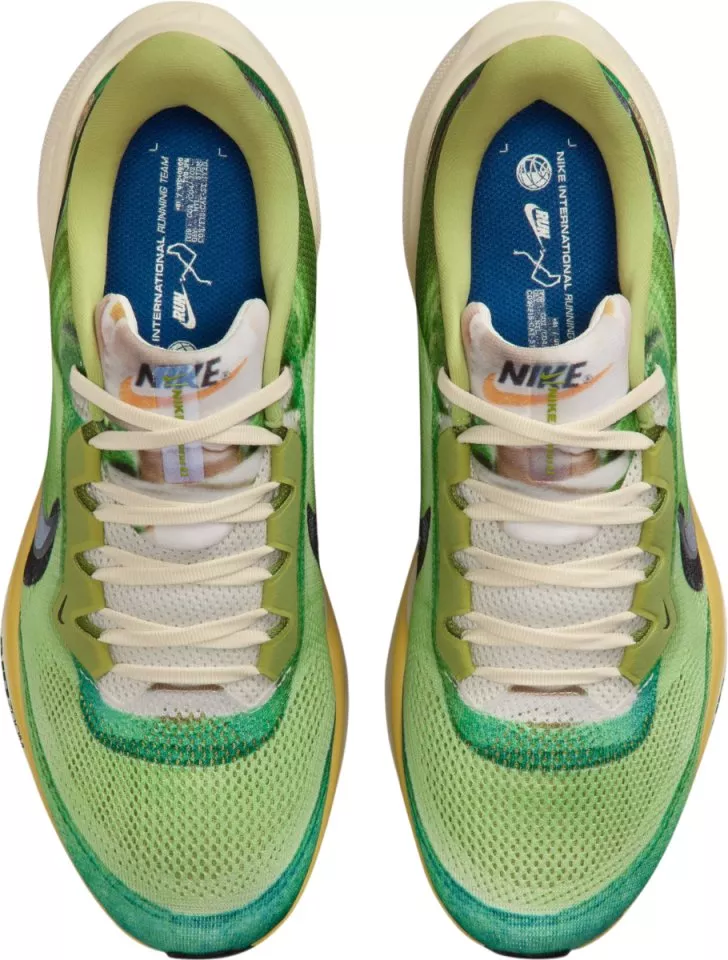 Scarpe da running Nike Pegasus 41 SE