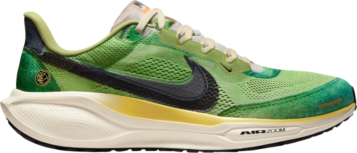 Scarpe da running Nike Pegasus 41 SE