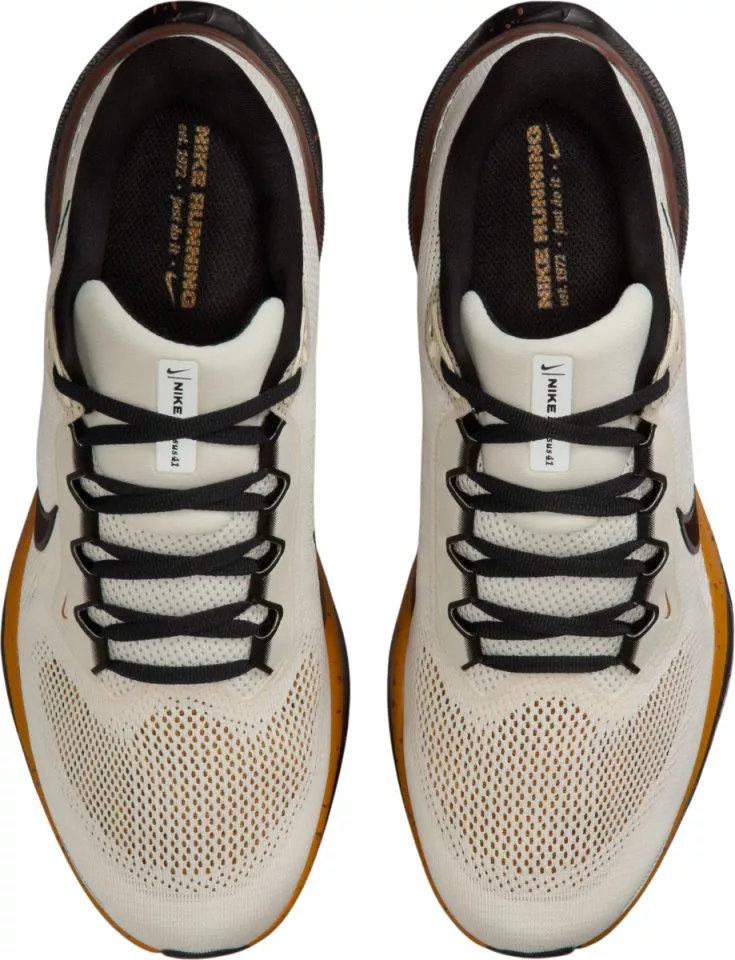 Laufschuhe Nike Pegasus 41