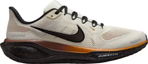 Pegasus 41