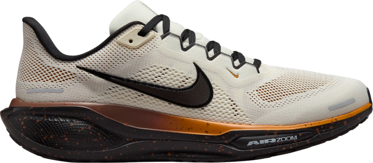 Laufschuhe Nike Pegasus 41