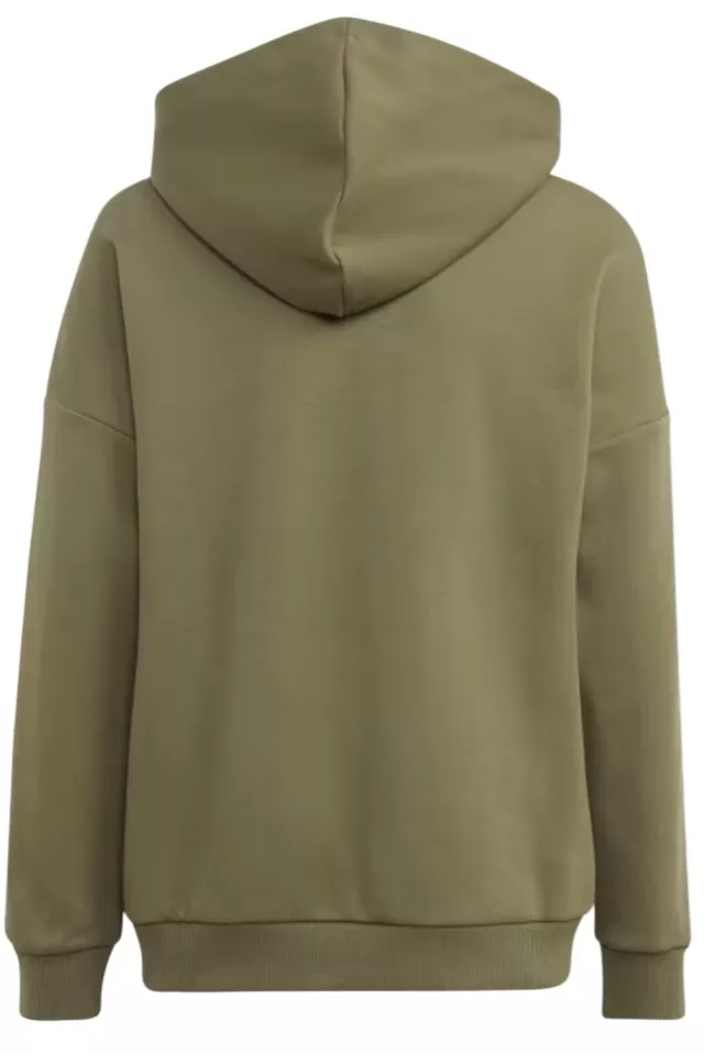 Majica s kapuljačom adidas Sportswear Future Icons hoody kids