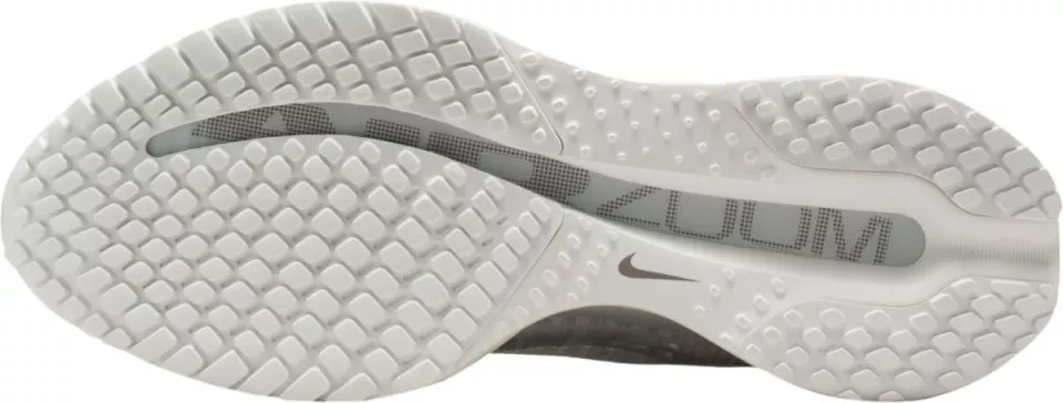 Zapatillas de running Nike Pegasus Premium