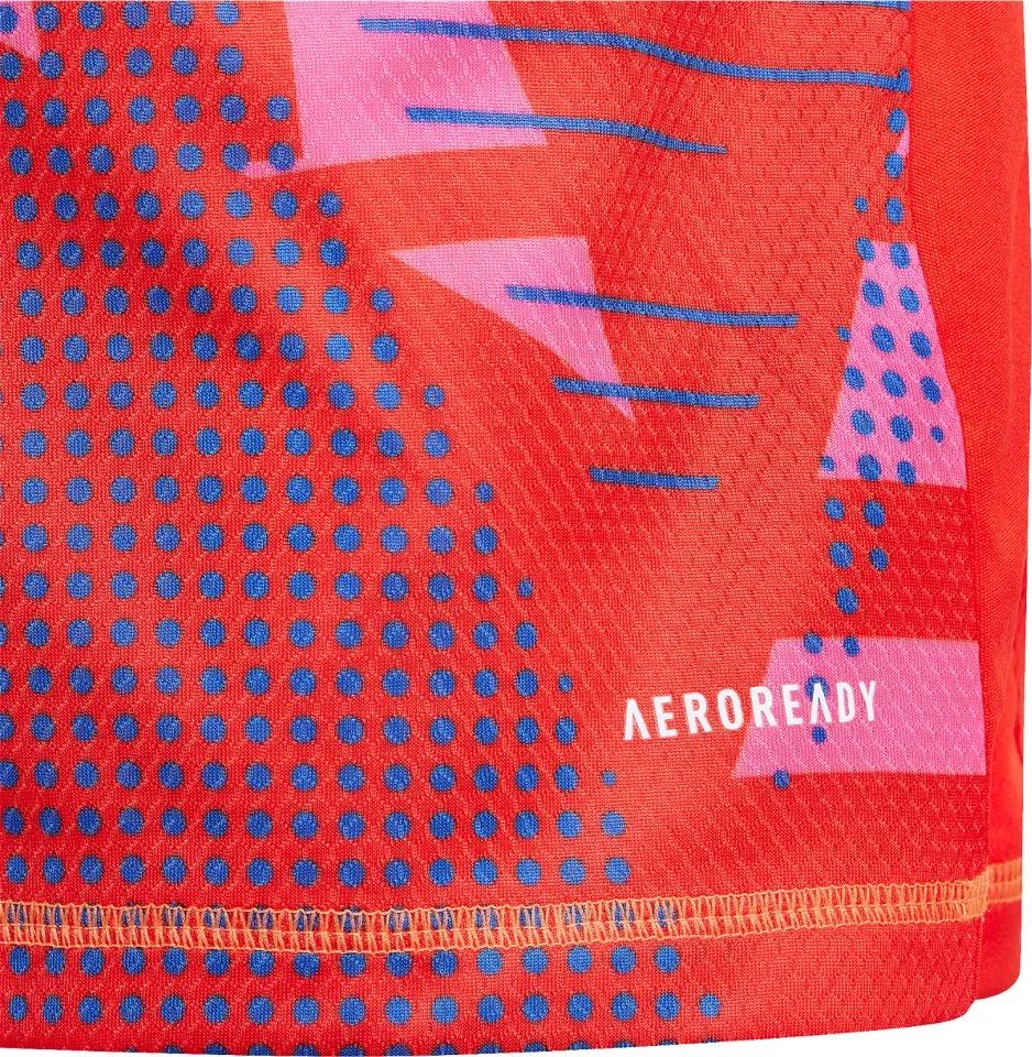 Pitkähihainen paita adidas Italy Goalkeeper Long-Sleeve 2024 Kids