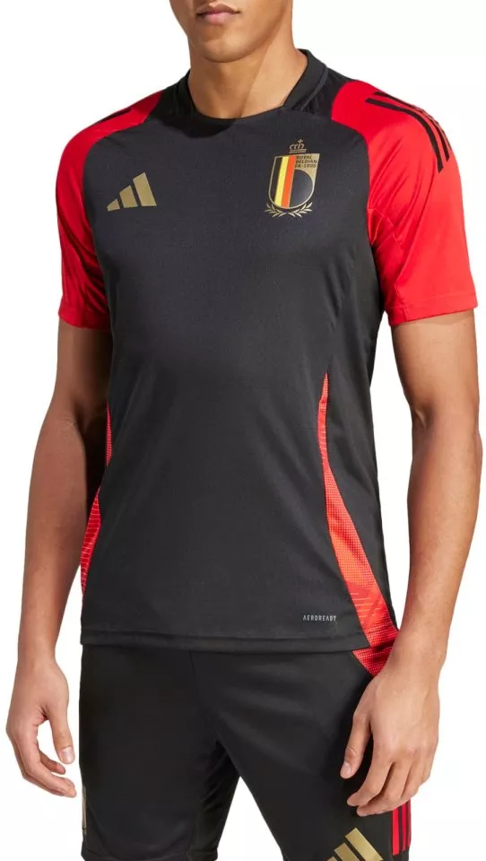 Φανέλα adidas RBFA TR JSY 2024
