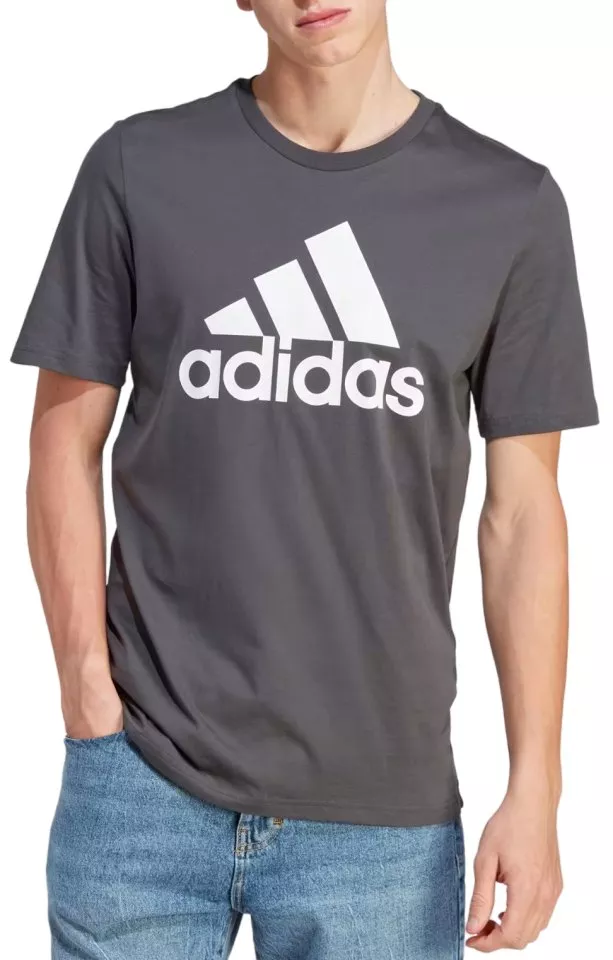 Camiseta adidas Sportswear Single Jersey Big Logo