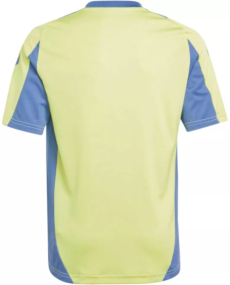 Camisa adidas AJAX TR JSY Y 2024/25