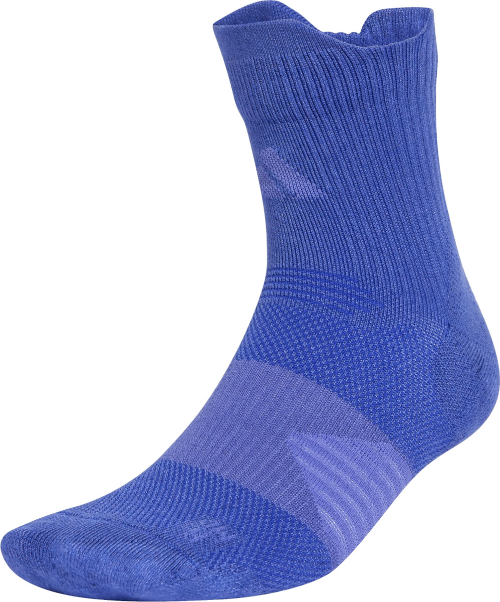 RunXSPNV Sock