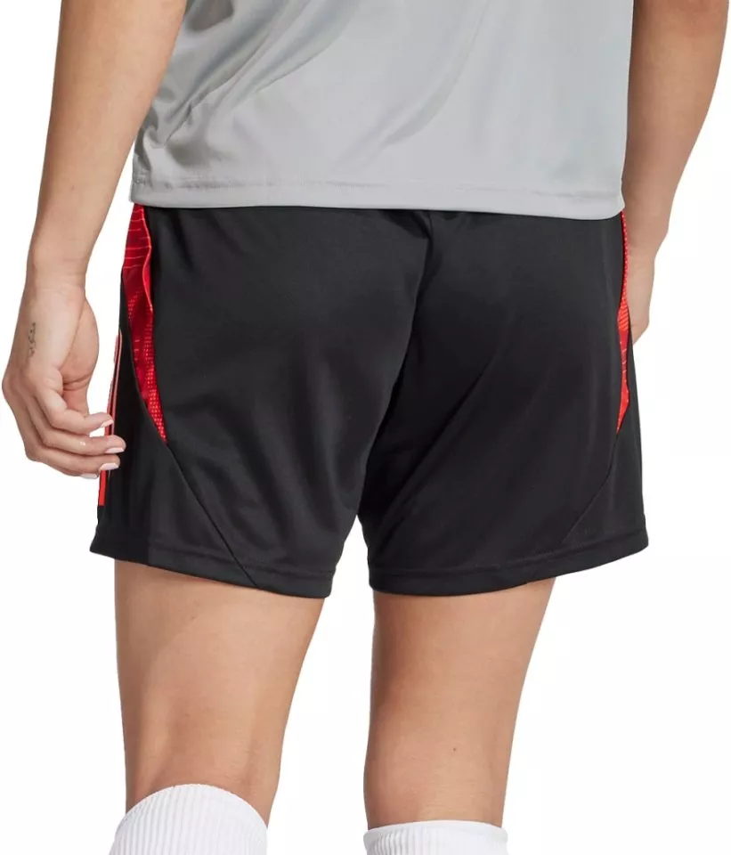 Sorturi adidas TIRO24 C TRSHOW