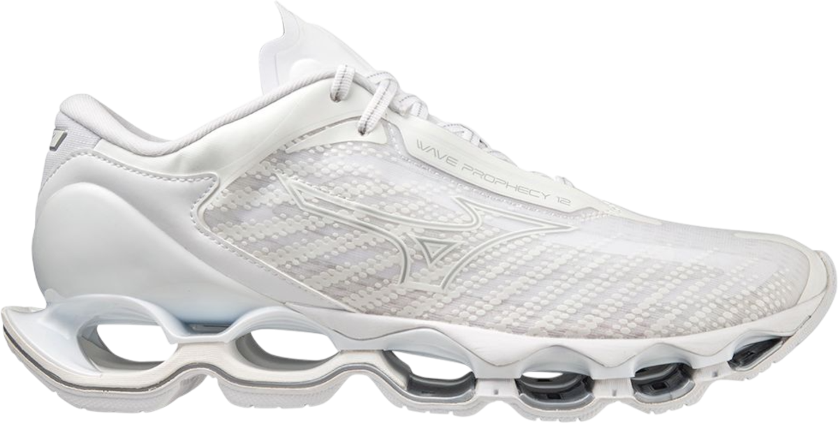 Running shoes Mizuno WAVE PROPHECY 12