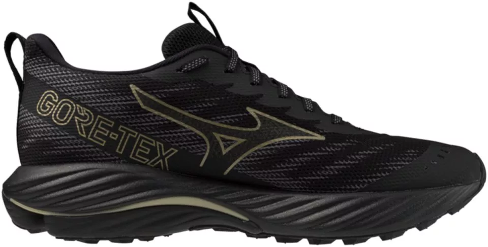 Pánské trailové boty Mizuno Wave Rider GTX 2