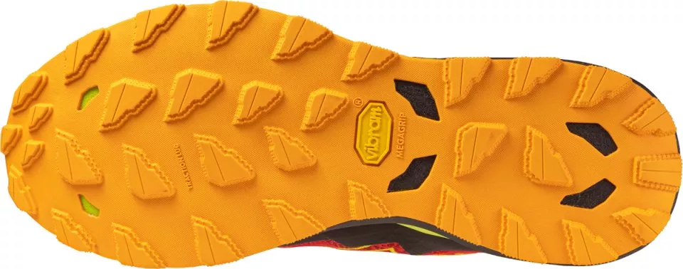 Trail shoes Mizuno Wave Daichi 9