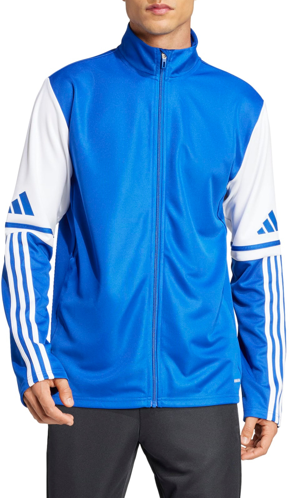Casaco adidas SQ25 TR JKT