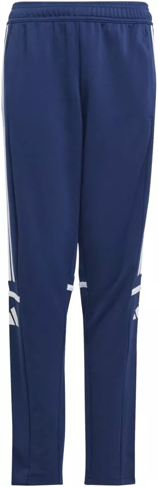 Pants adidas SQUADRA25 TR PNT Y