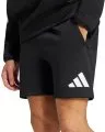 Sportswear Z.N.E. Short