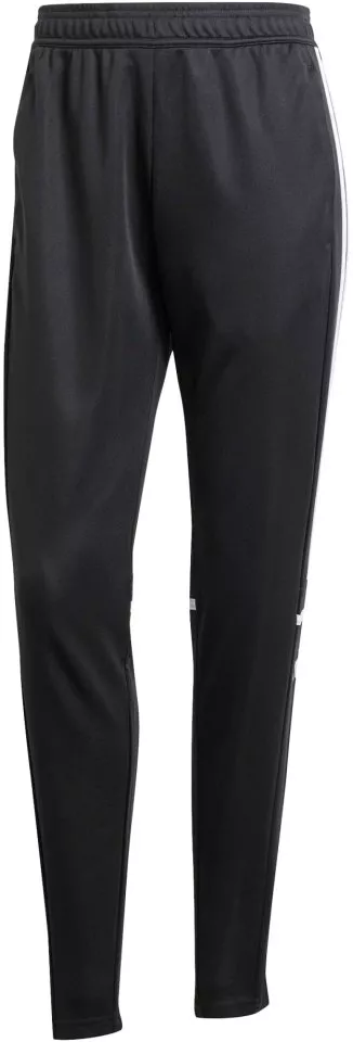 Housut adidas SQUADRA25 TR PNT W