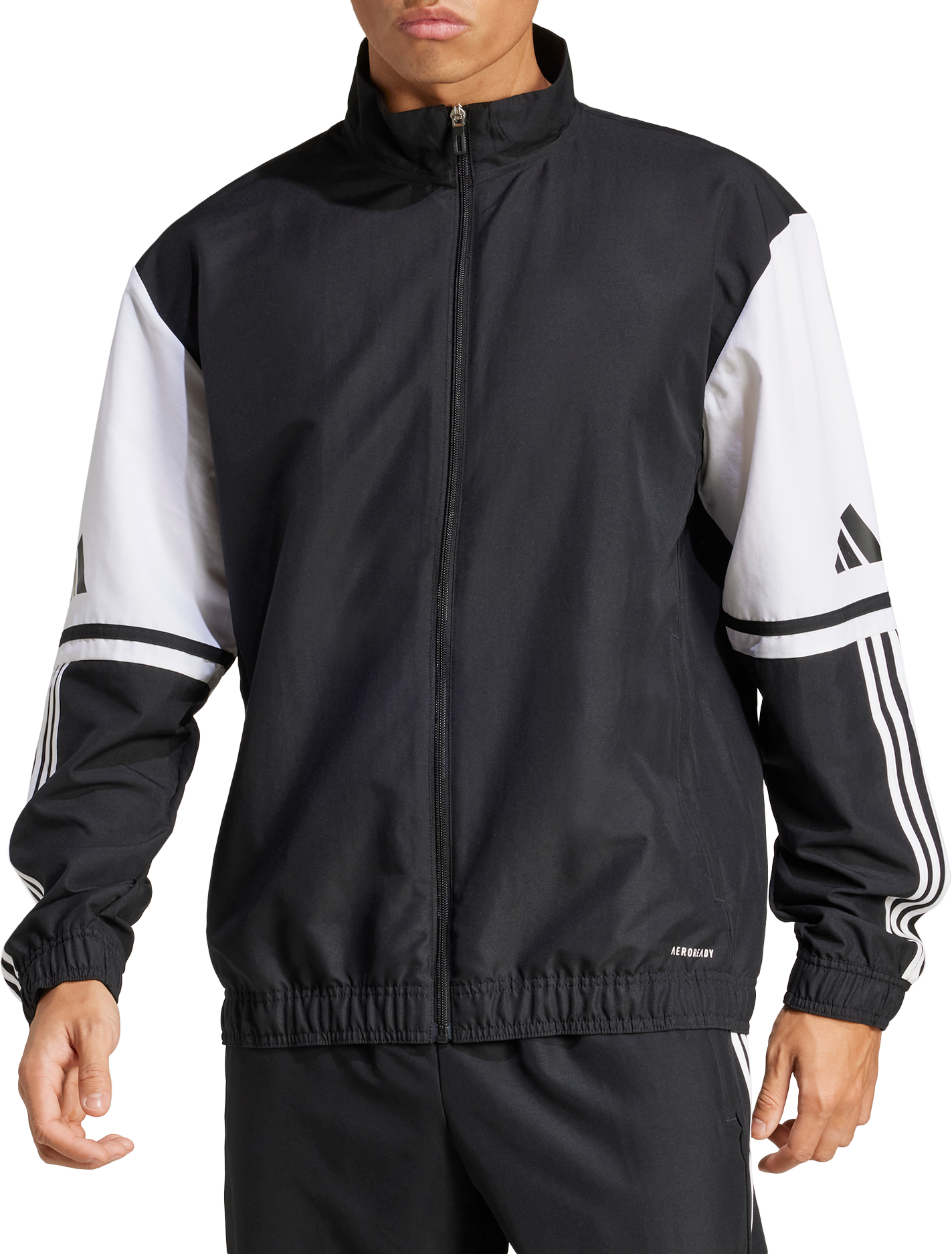 Casaco adidas SQUADRA25 PRE JKT