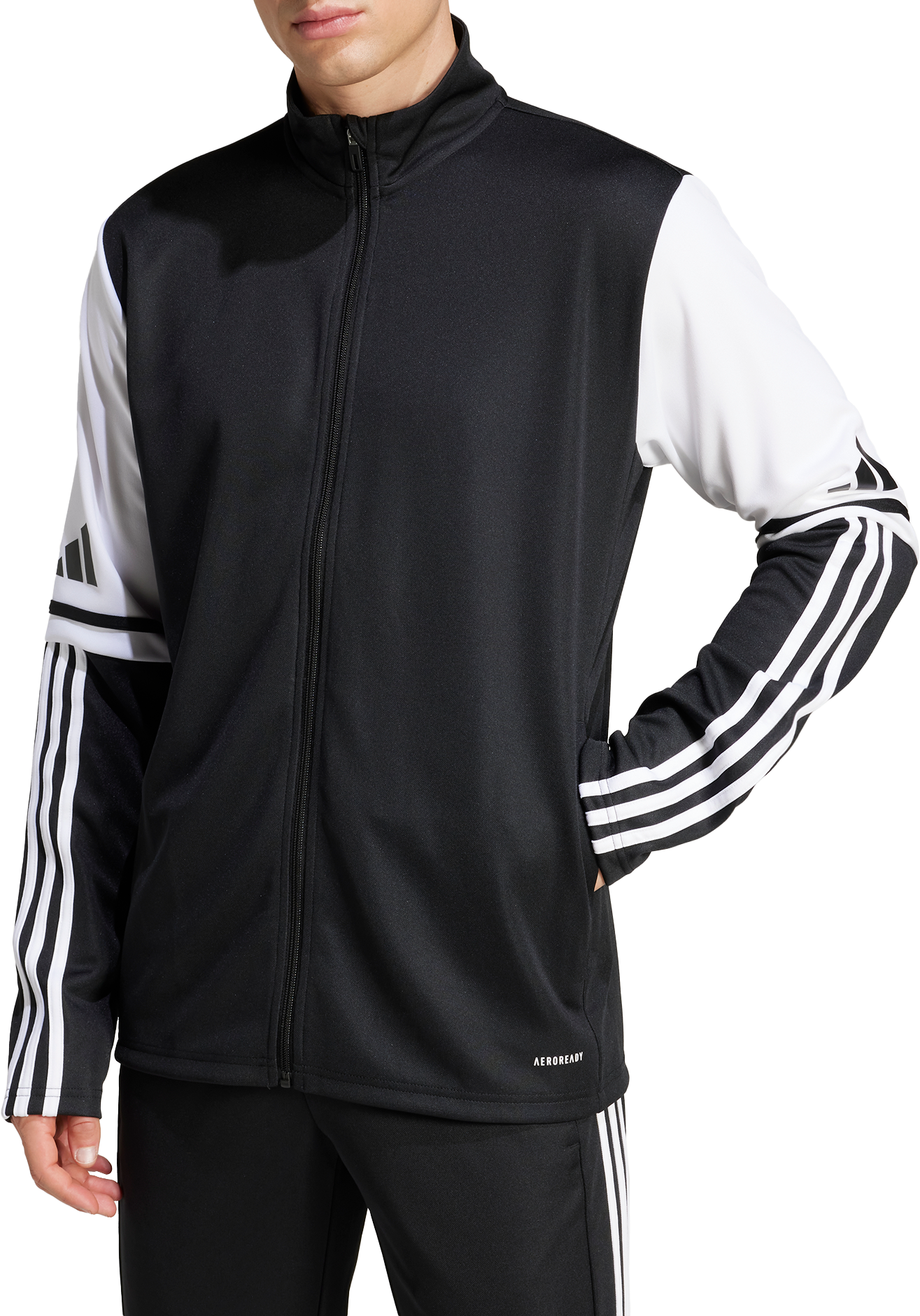 Casaco adidas SQUADRA25 TR JKT