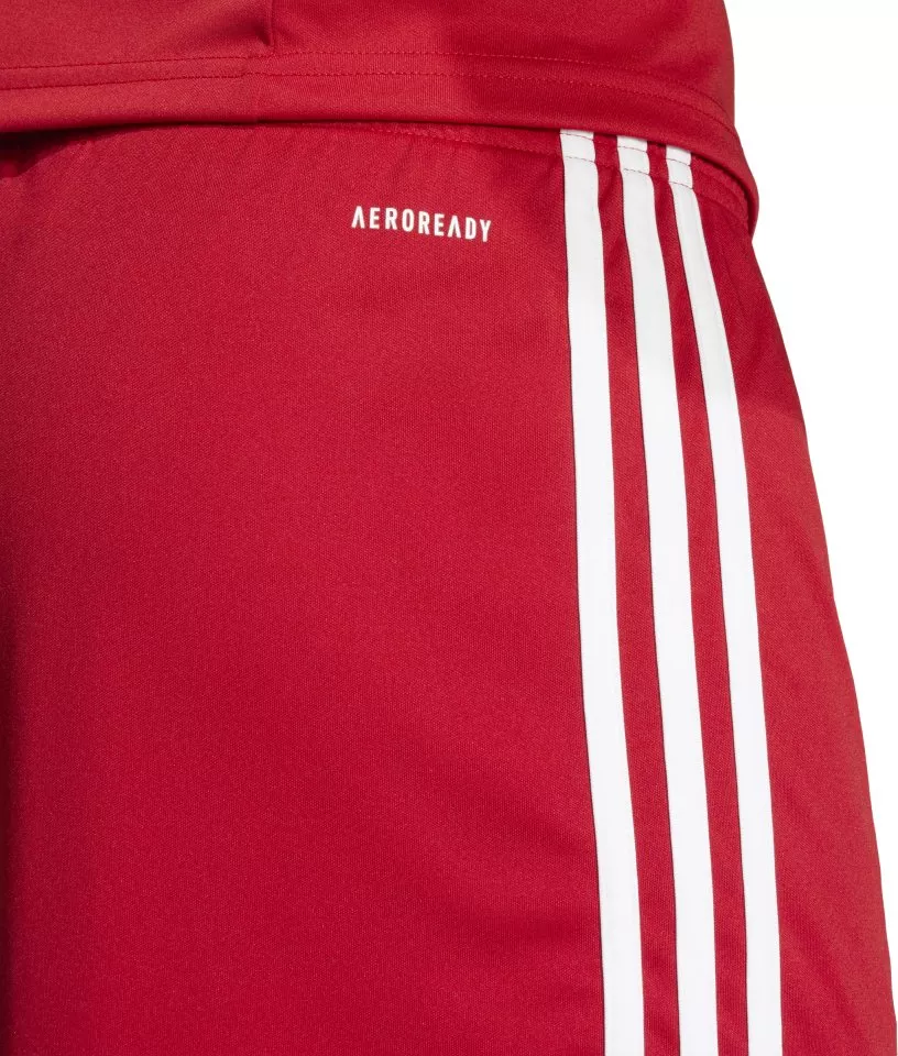 Shorts adidas SQUADRA25 SHO M