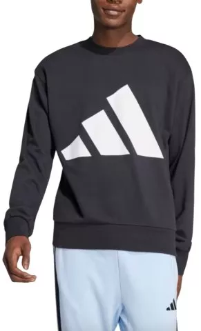 Essentials Big Logo Sweatshirt