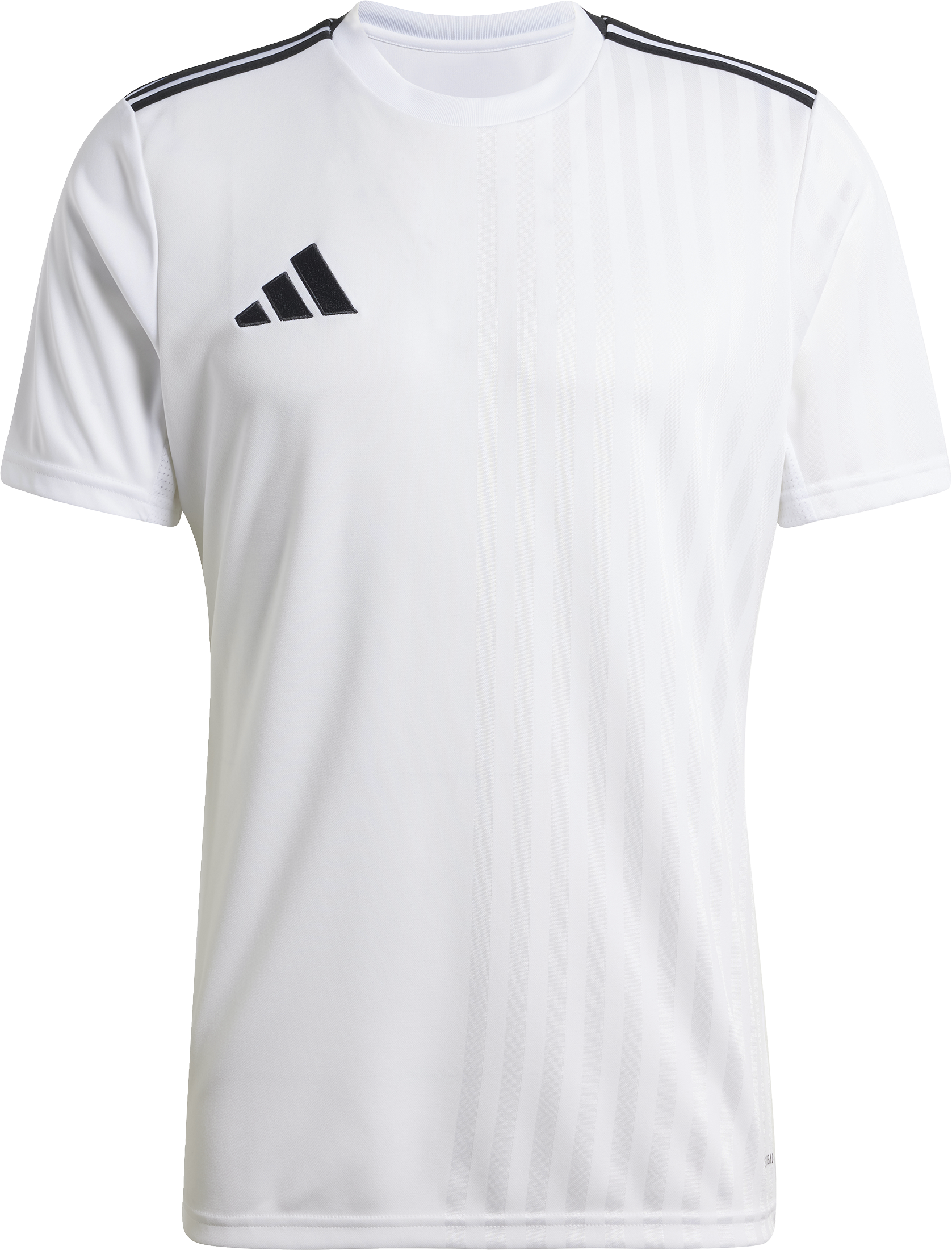 Camisa adidas CAMPEON25 JSY M