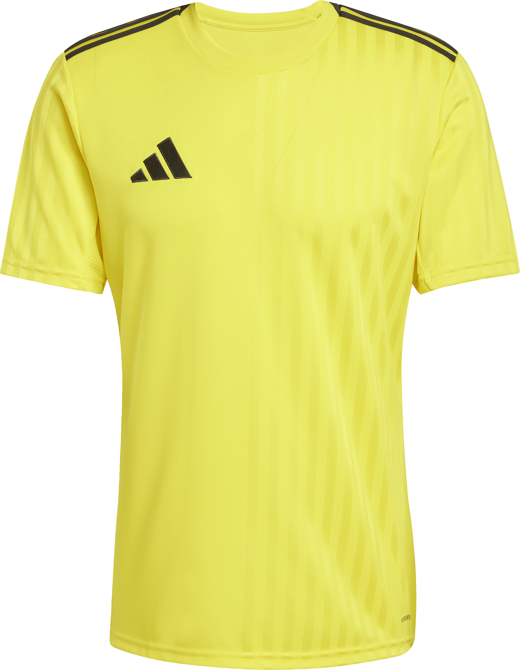 Tröja adidas CAMPEON25 JSY M