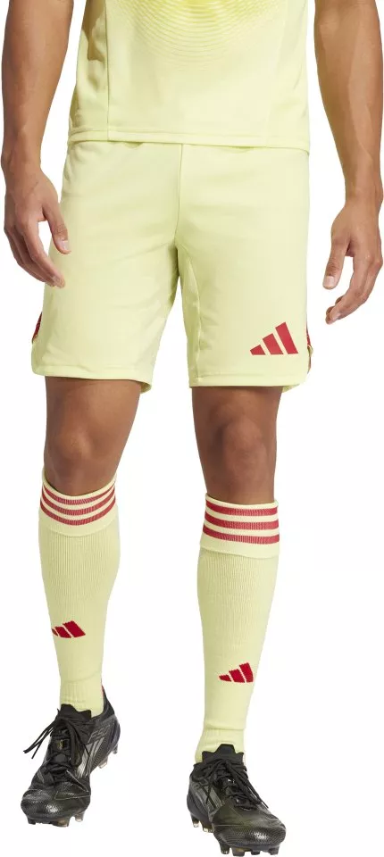 Sorturi adidas Tiro25 Pro GK SHO M