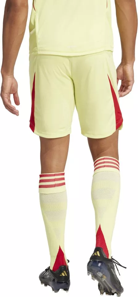 Sorturi adidas Tiro25 Pro GK SHO M