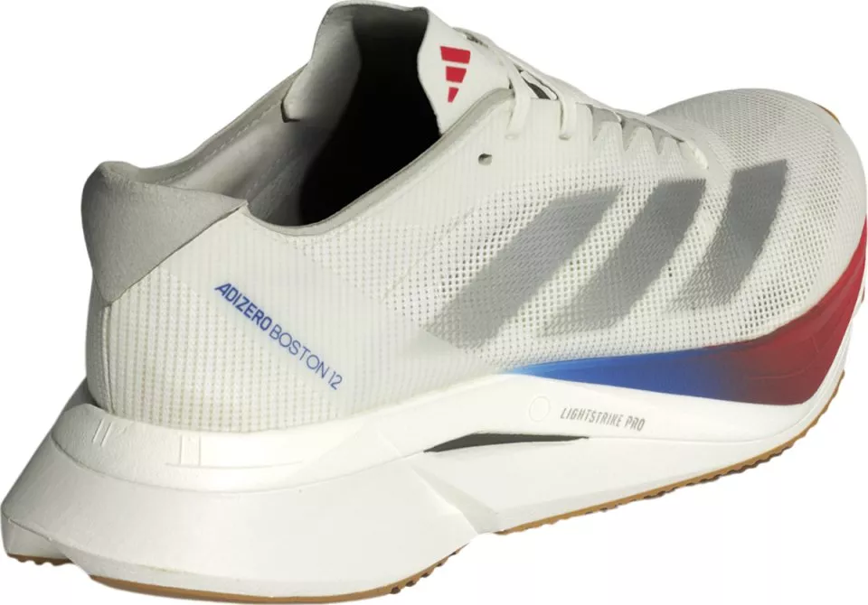 Juoksukengät adidas ADIZERO BOSTON 12 W