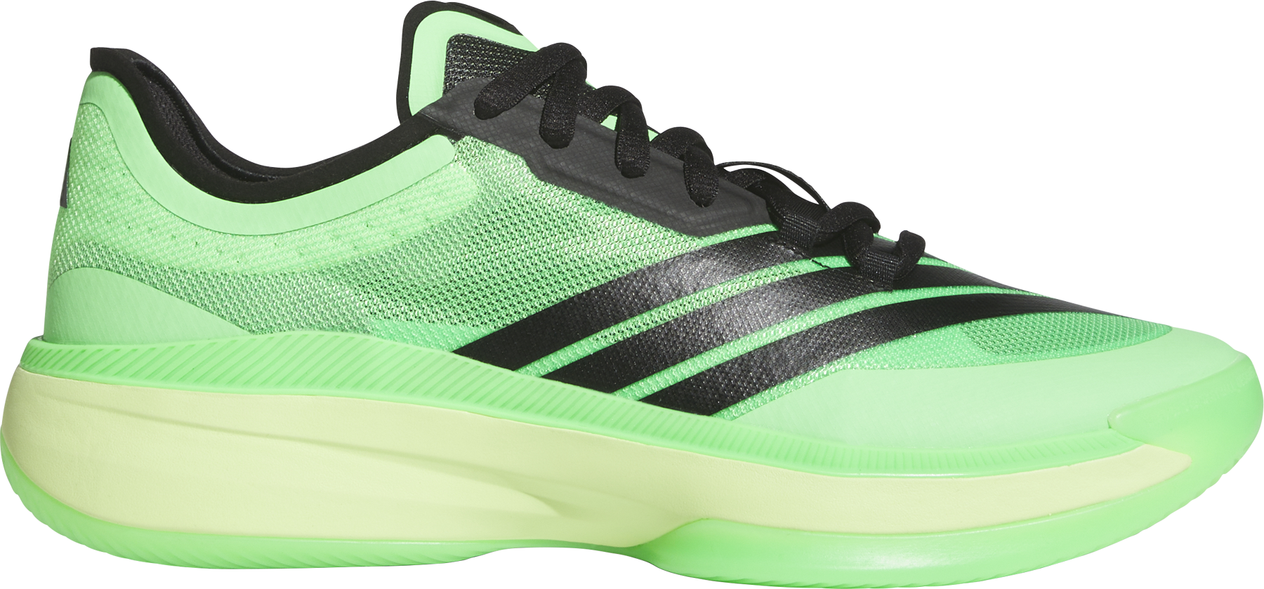 Tenisice za košarku adidas Adizero Select 3.0 Shoe