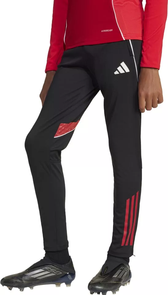 Housut adidas TIRO25C TR PNTY