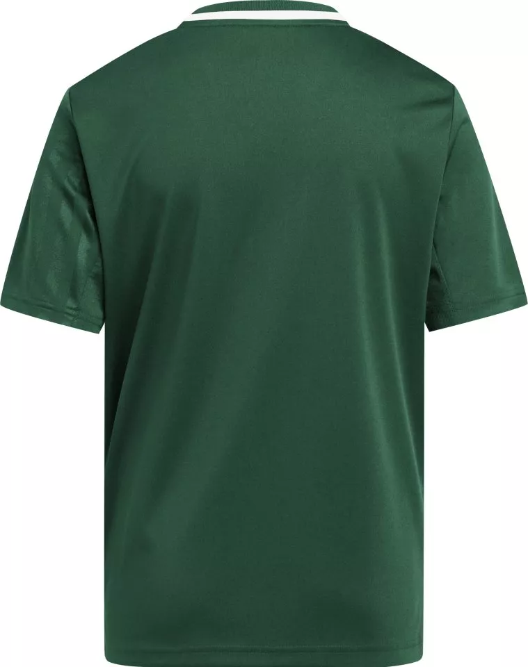 Bluza adidas CAMPEON25 JSY Y