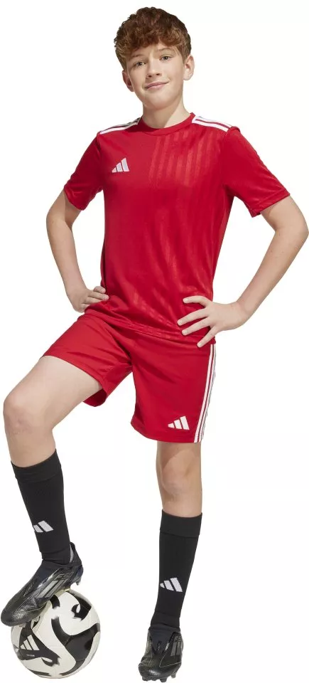 Bluza adidas CAMPEON25 JSY Y