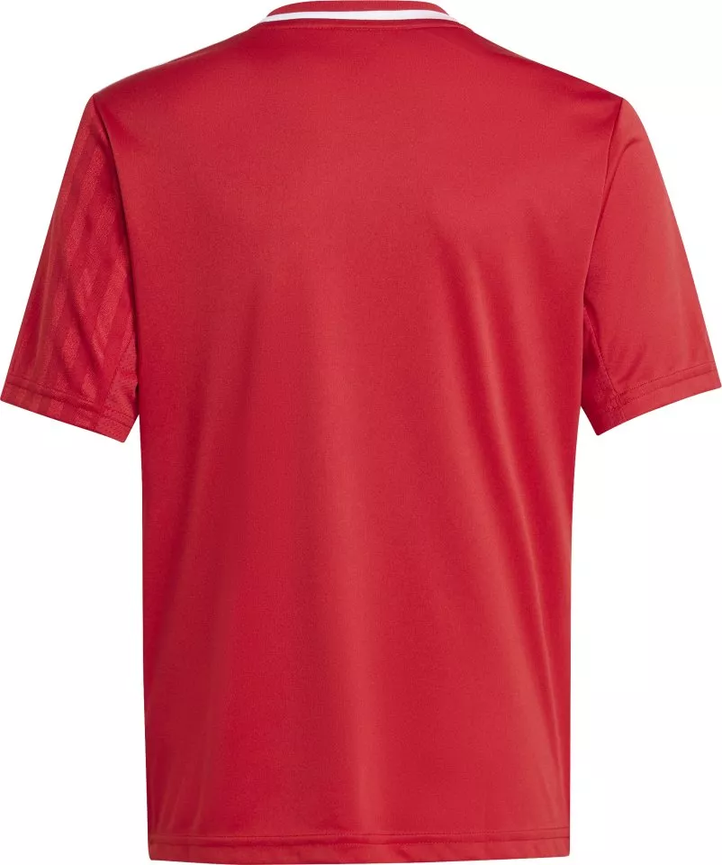Bluza adidas CAMPEON25 JSY Y